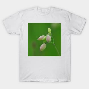 Pink and Green Bladder Campion in The Field T-Shirt